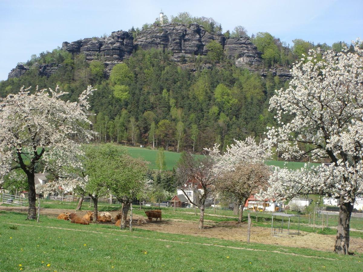 Appartamento Alter Gutshof Papstdorf Esterno foto